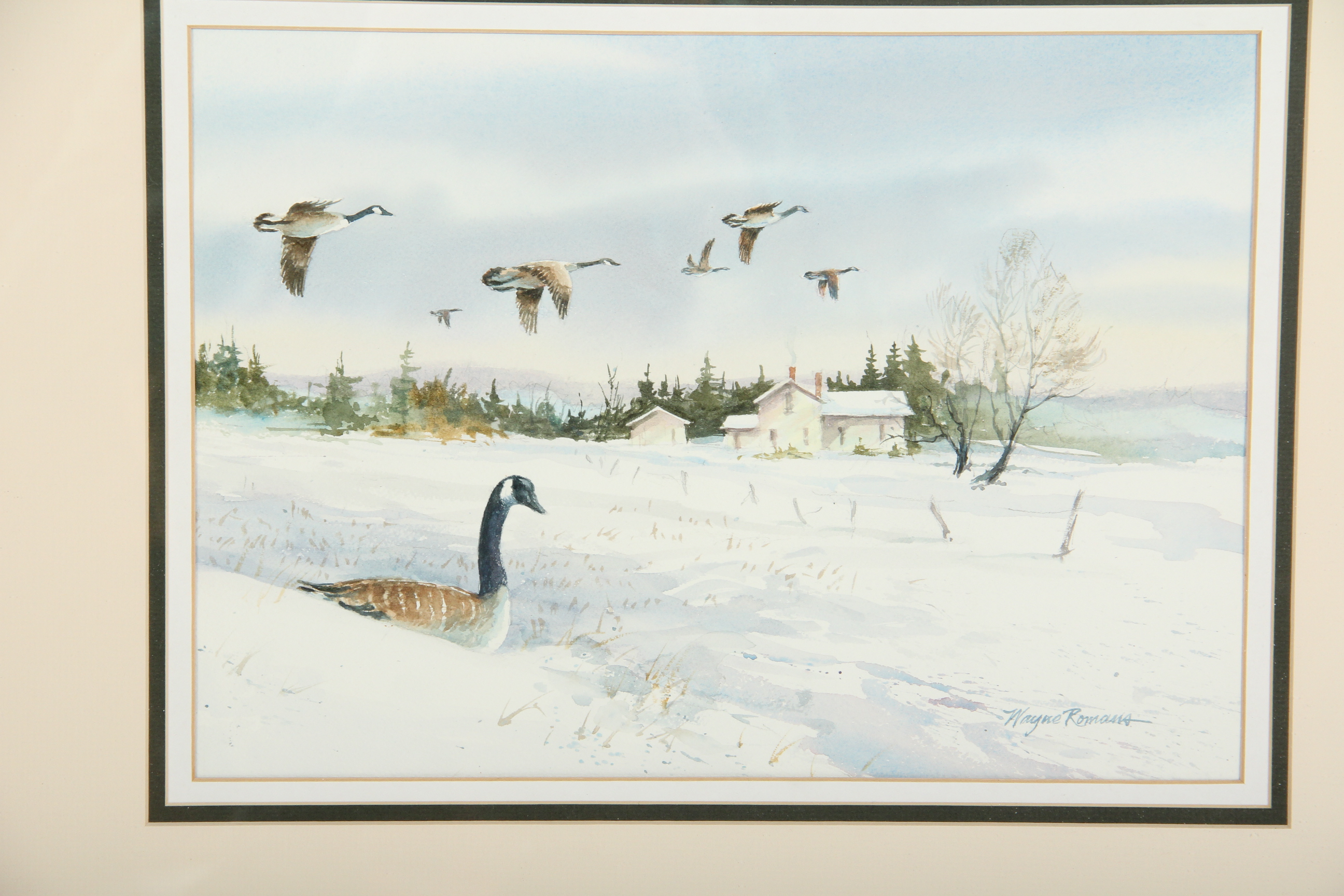 Canada Geese Original Watercolor Painting by Wayne Romans