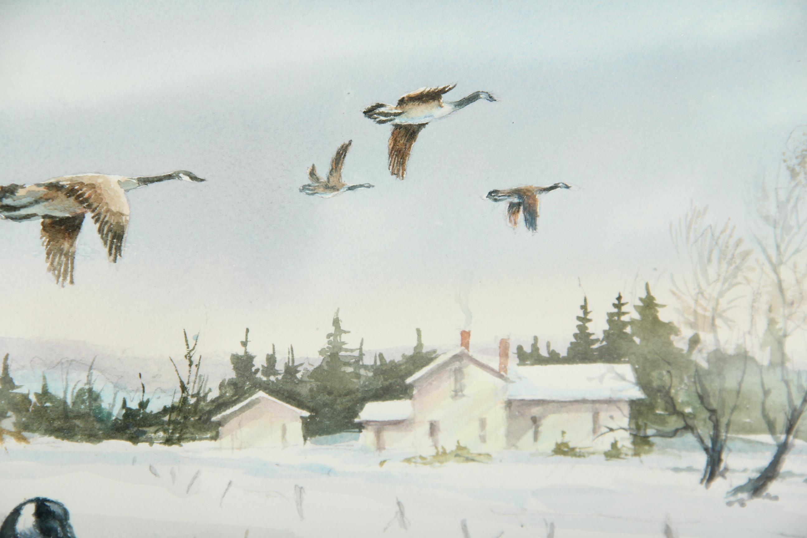 Canada Geese Original Watercolor Painting by Wayne Romans
