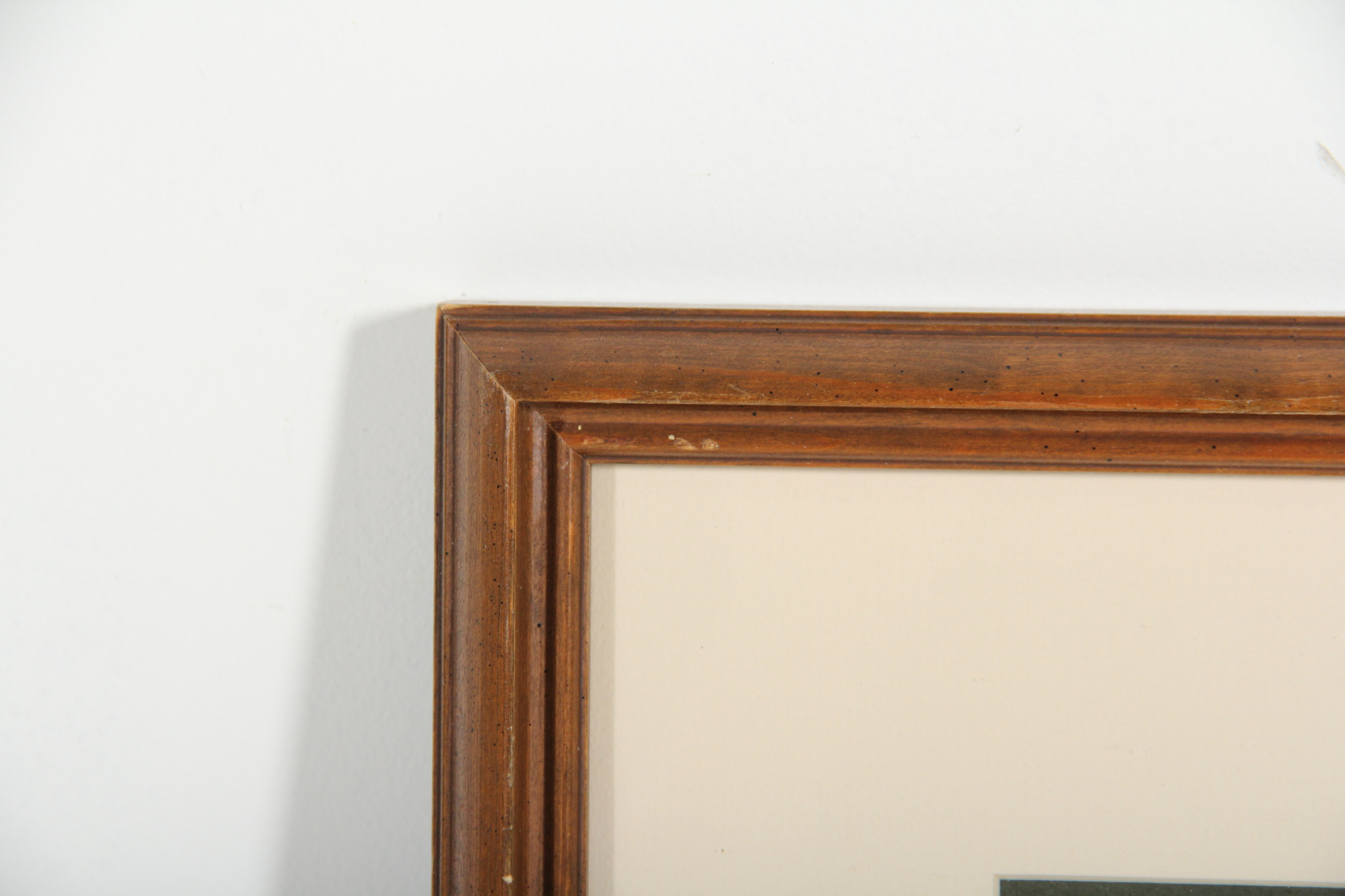 Canada Geese Original Watercolor Painting by Wayne Romans