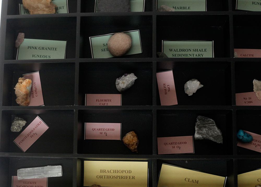 Rock and Fossil Collection