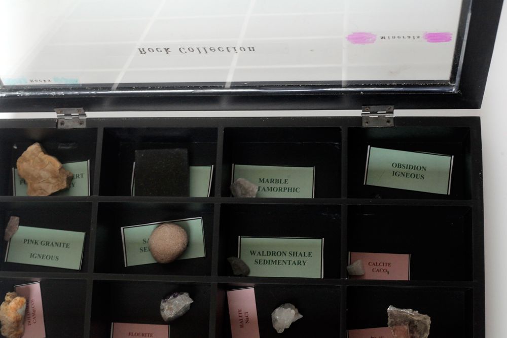 Rock and Fossil Collection