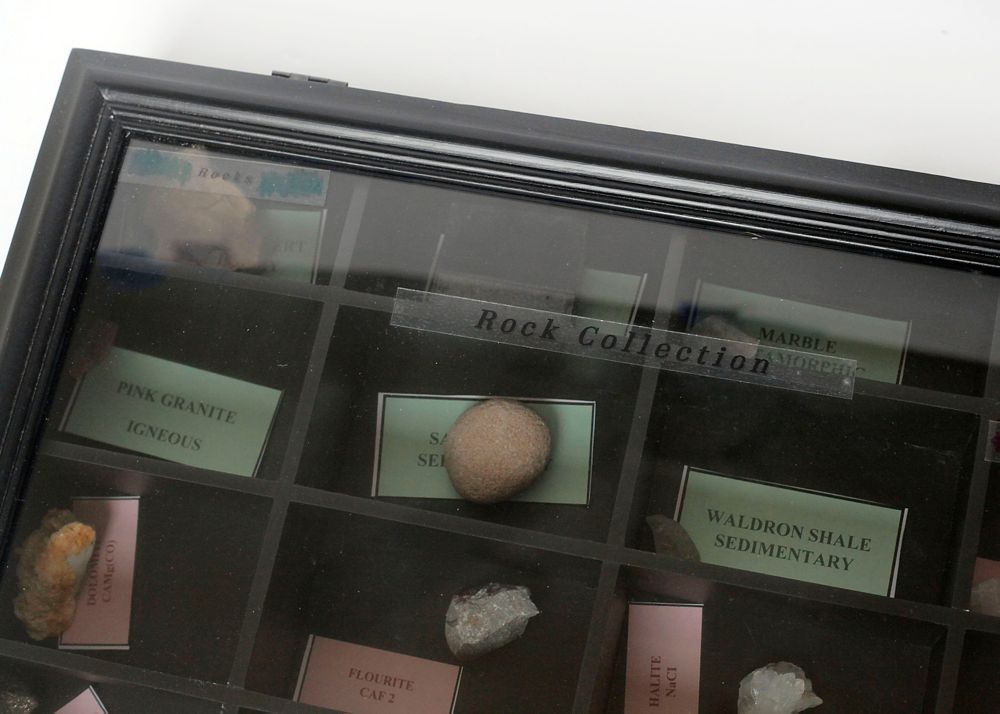 Rock and Fossil Collection