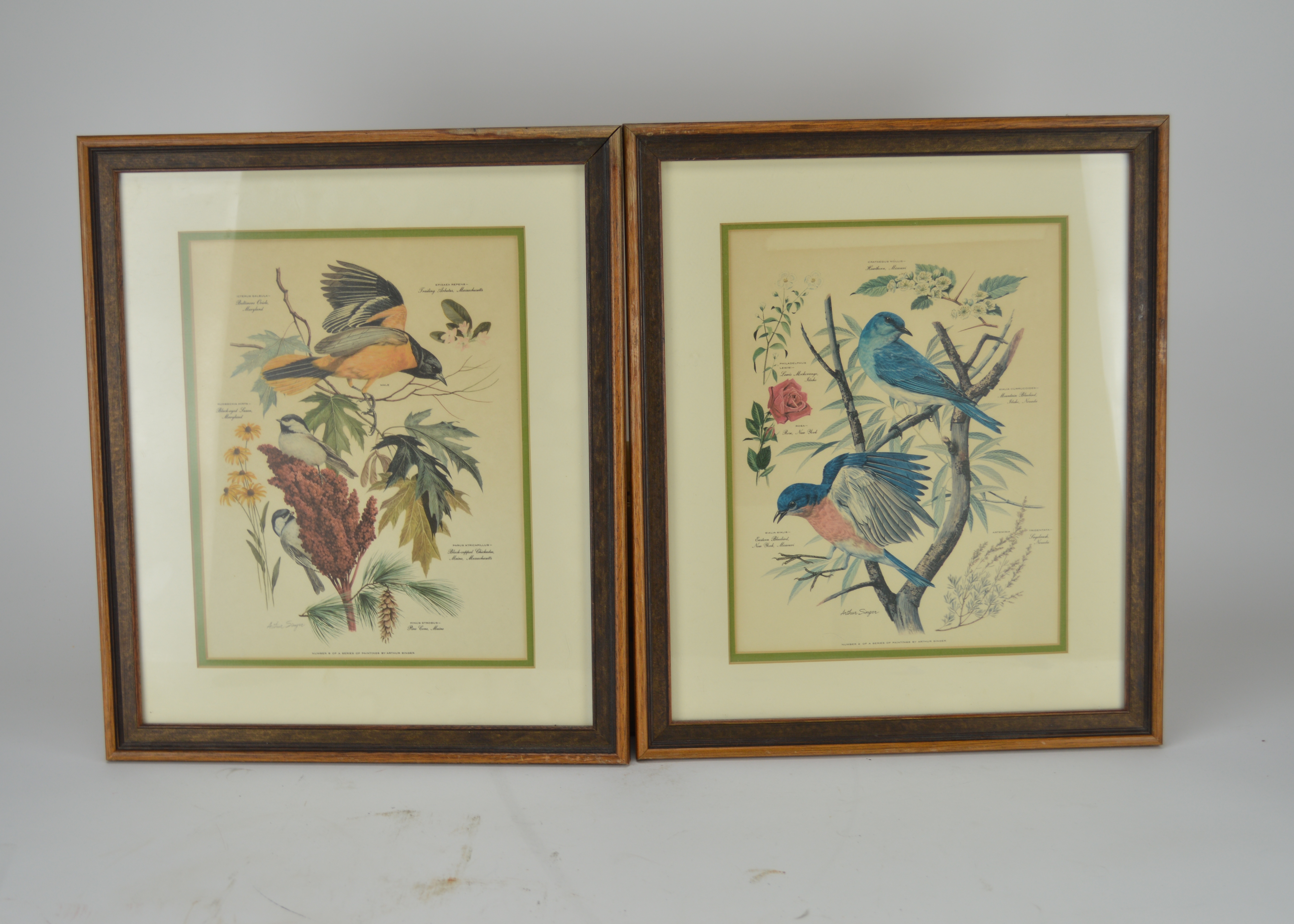Arthur Singer Vintage Bird Prints