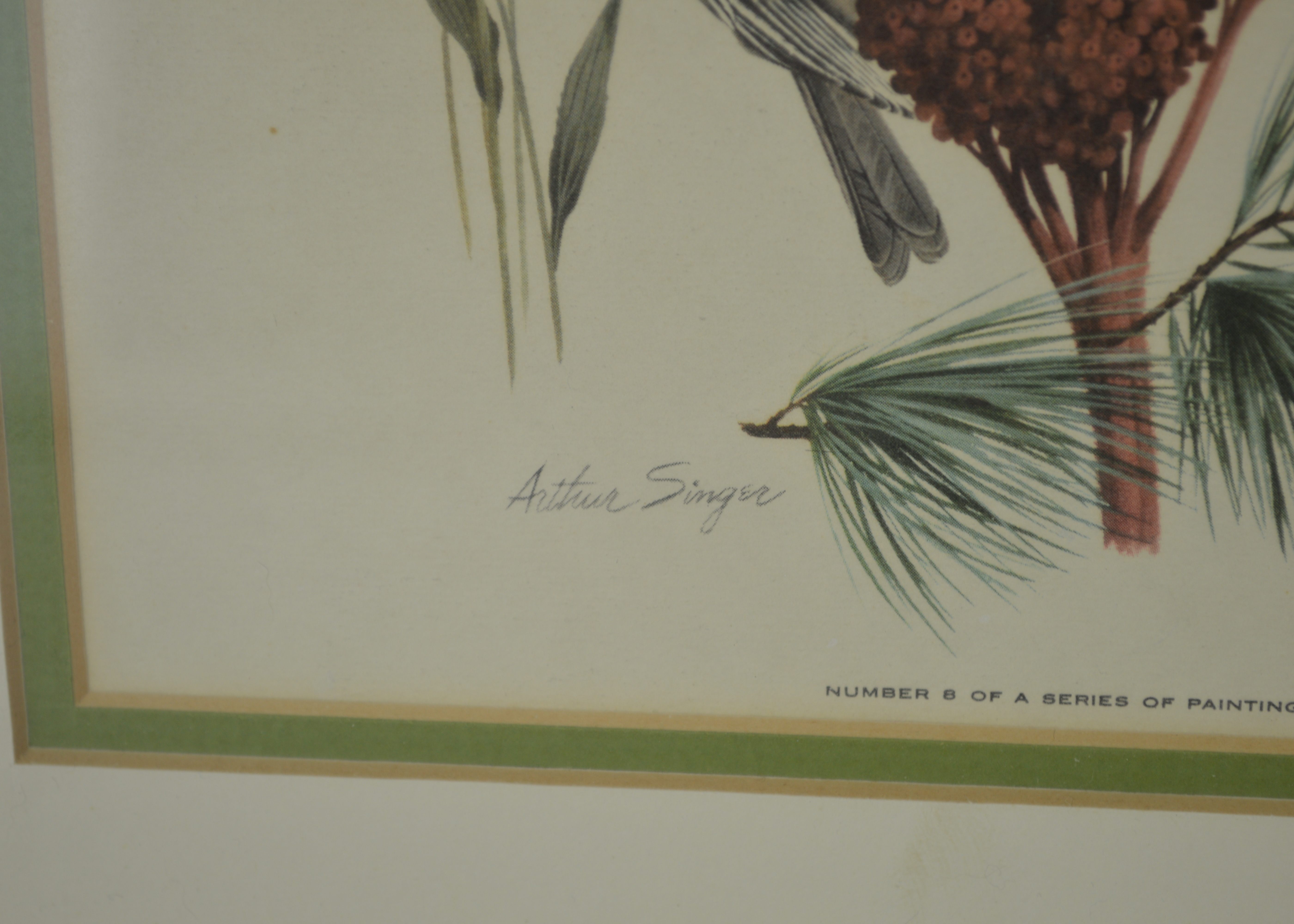 Arthur Singer Vintage Bird Prints