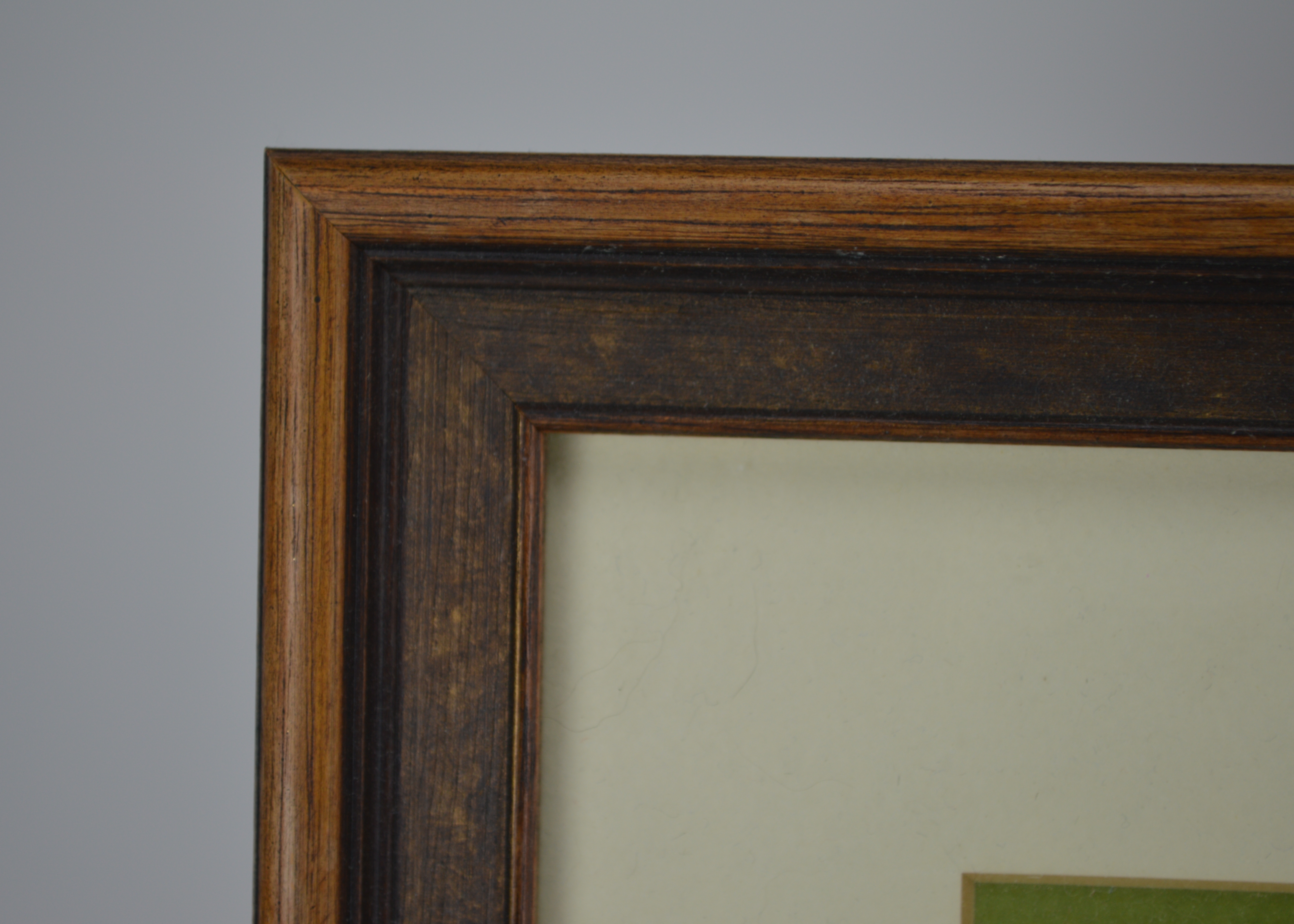 Arthur Singer Vintage Bird Prints