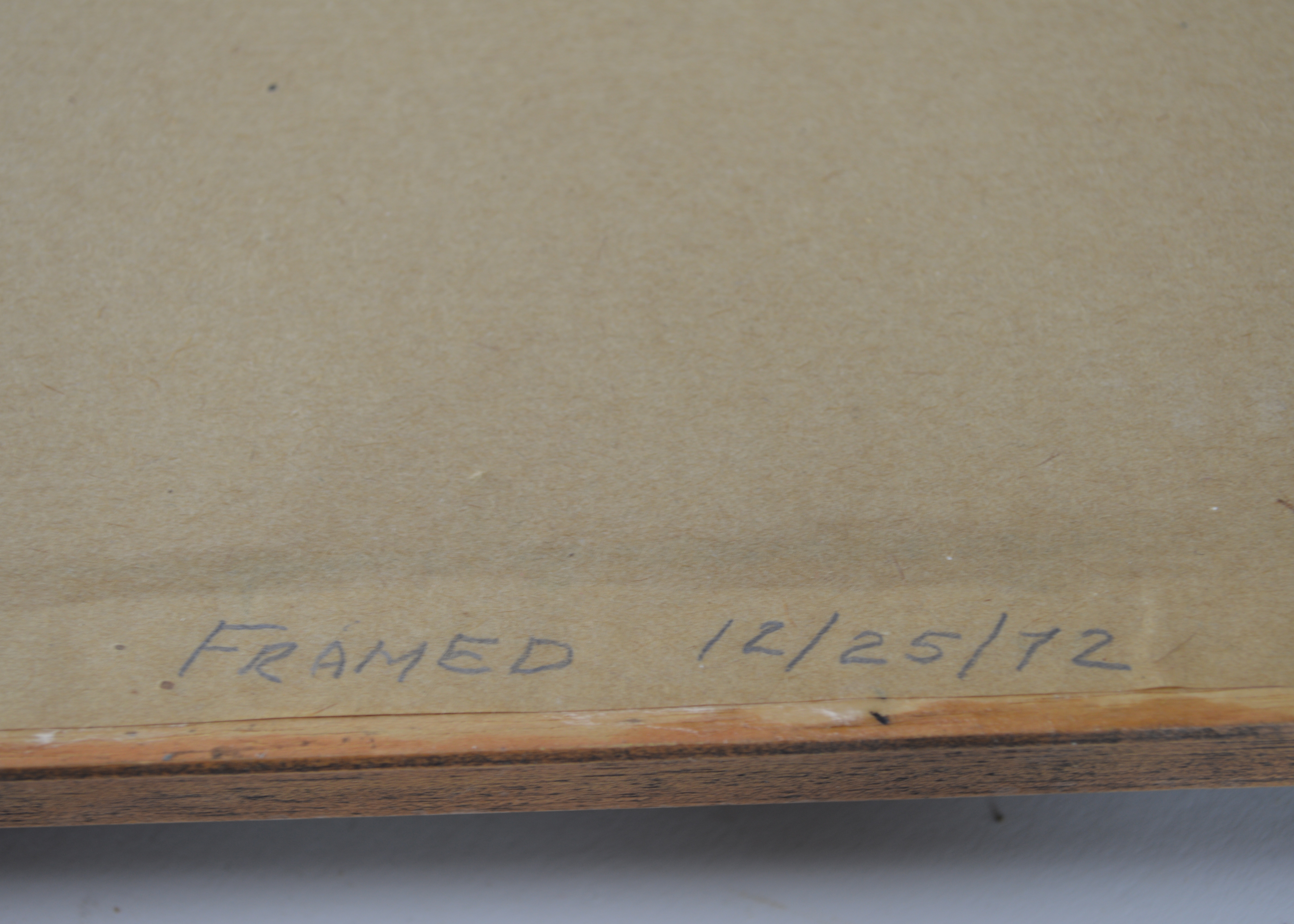 Arthur Singer Vintage Bird Prints