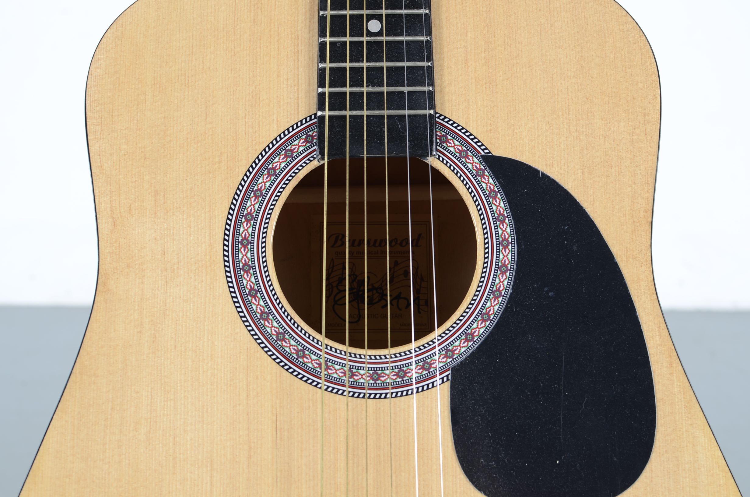 Burswood Elezan Guitar