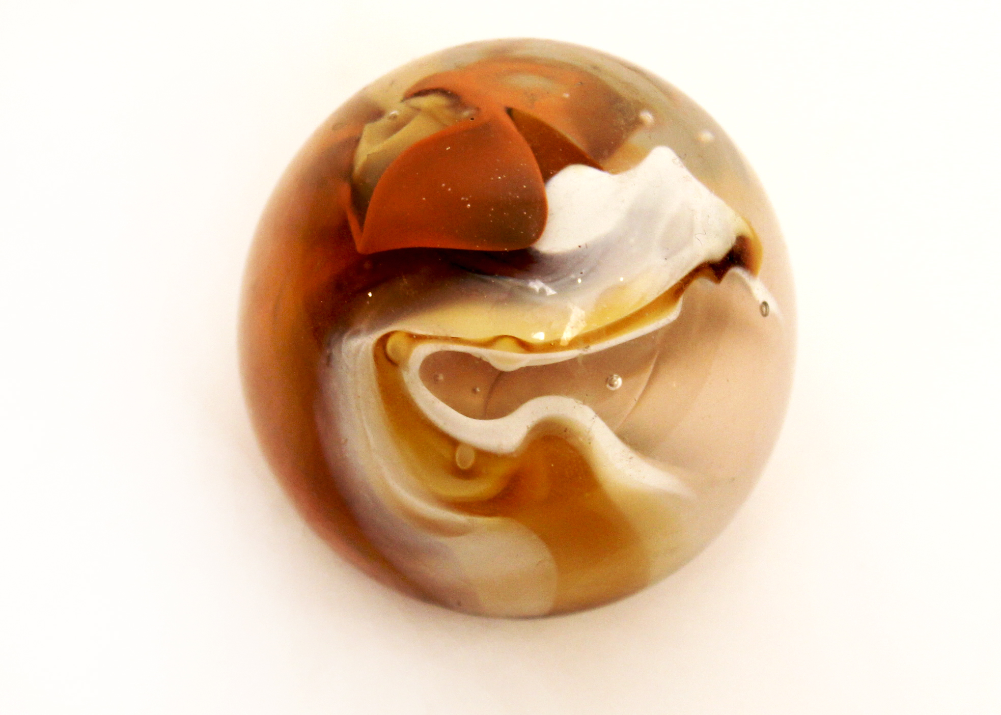 Collection of Natural Decorative Pieces