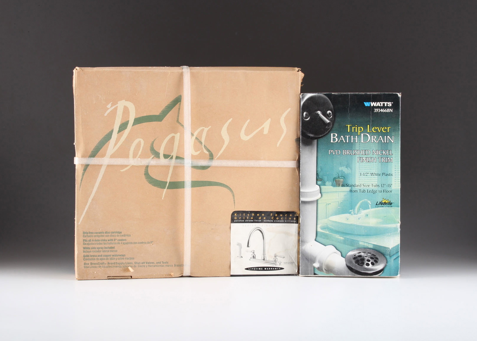 Pegasus Kitchen Faucet in Polished Chrome Finish