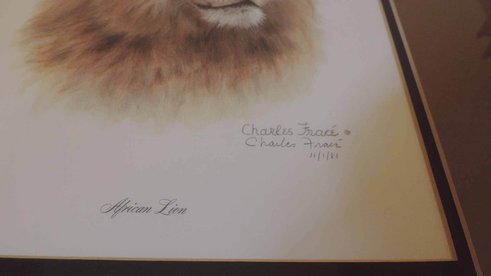 Charles Frace "African Lion" Signed Print