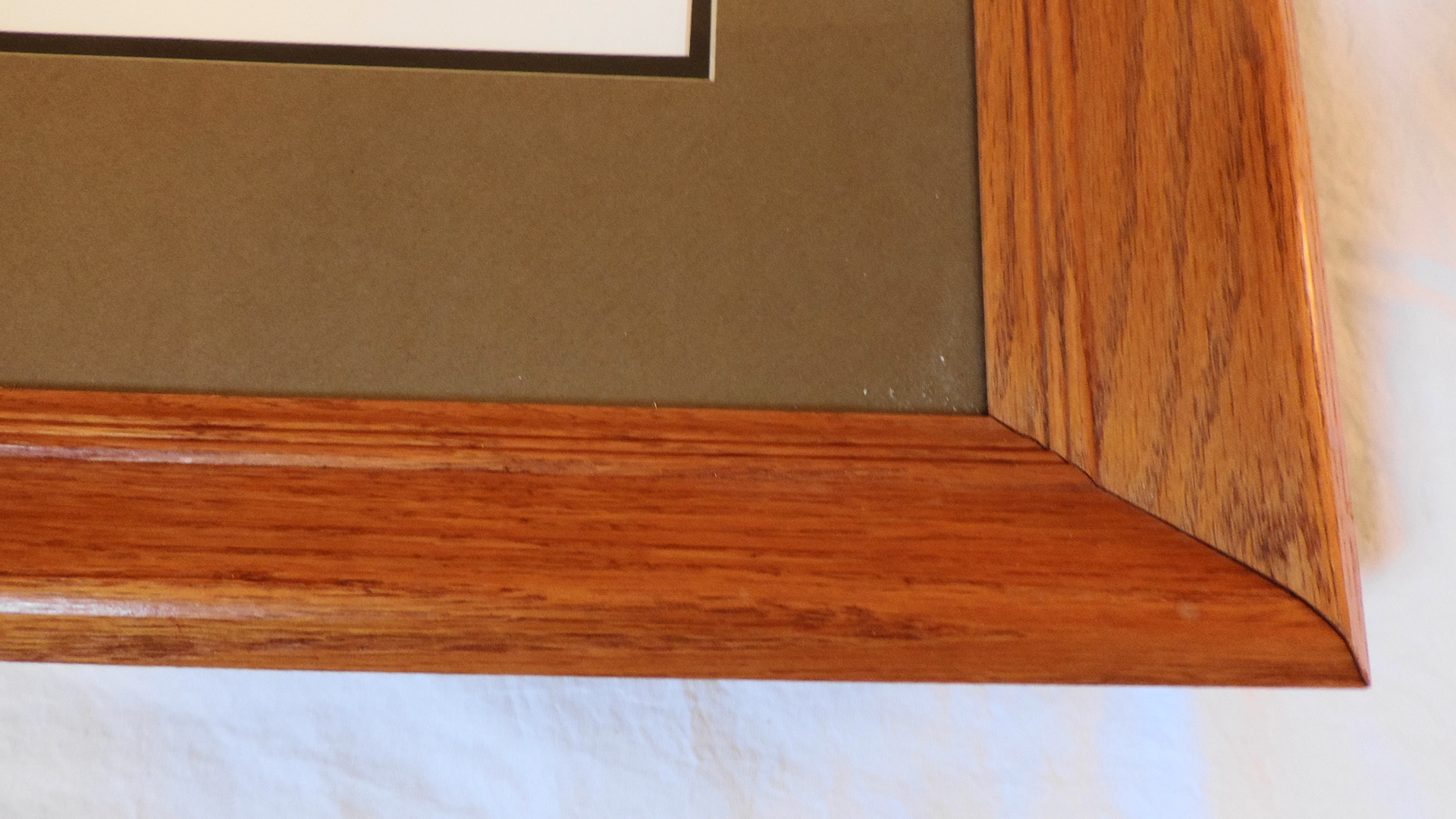 Charles Frace "African Lion" Signed Print