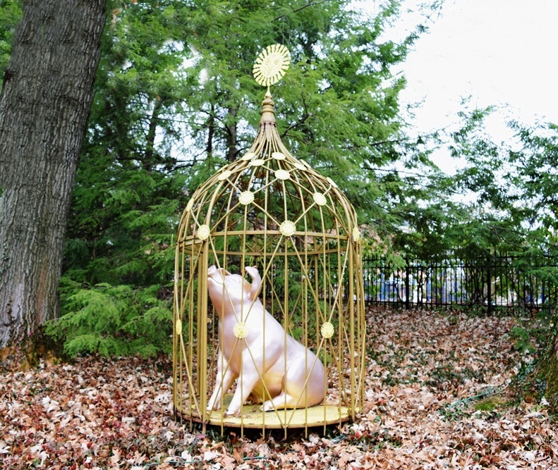 A Big Pig Gig "Pig For All Seasons" by Michael Scott