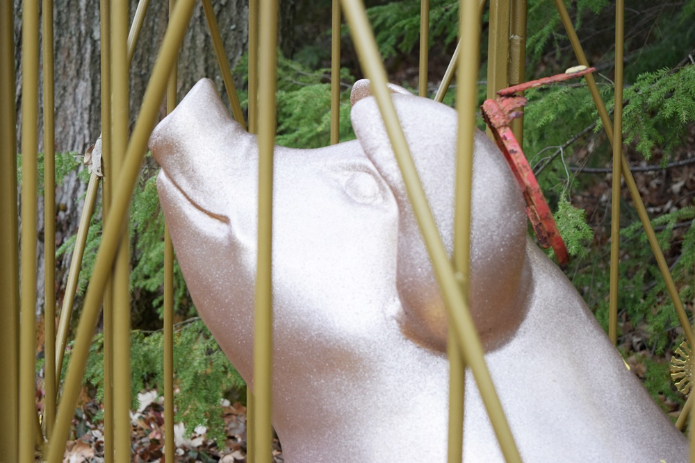 A Big Pig Gig "Pig For All Seasons" by Michael Scott