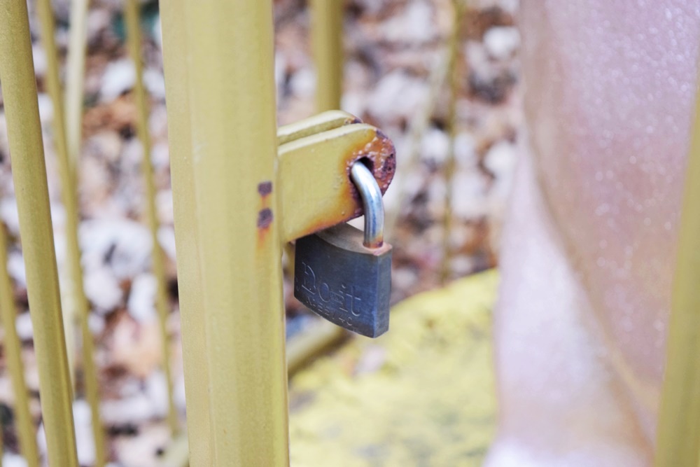 A Big Pig Gig "Pig For All Seasons" by Michael Scott