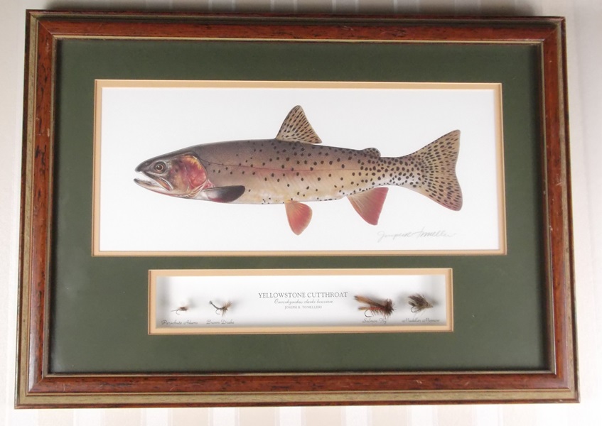 Signed Joseph R. Tomelleri Print of Yellowstone Cutthroat Trout