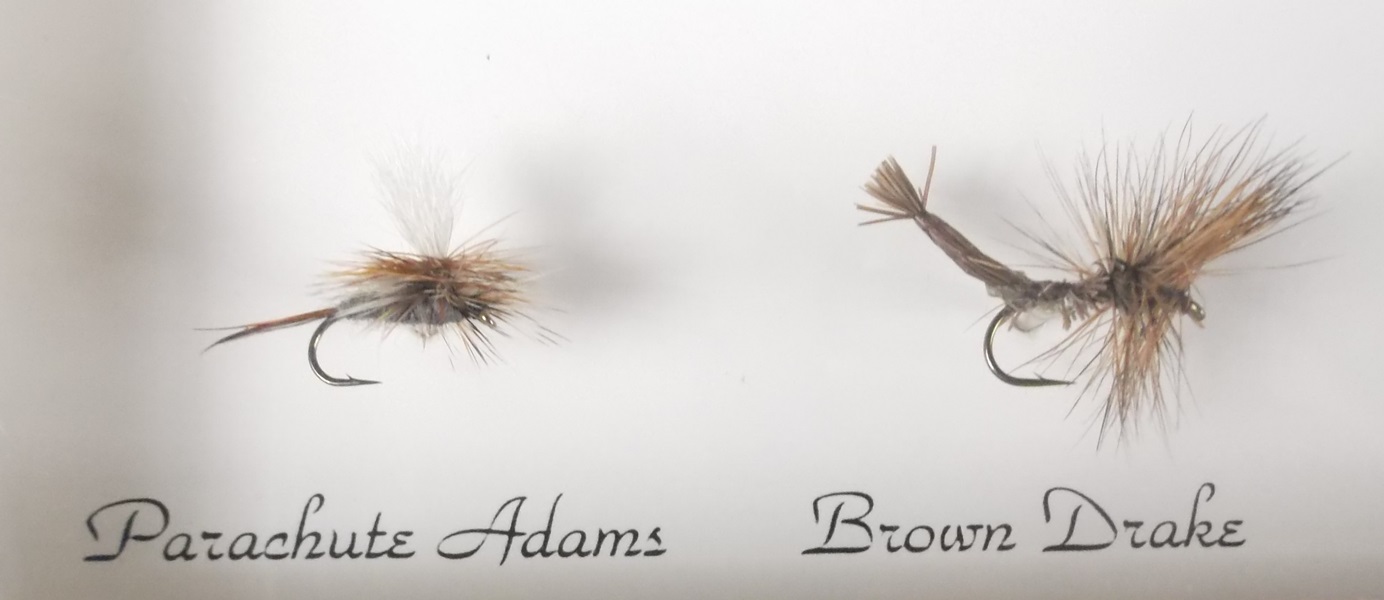 Signed Joseph R. Tomelleri Print of Yellowstone Cutthroat Trout