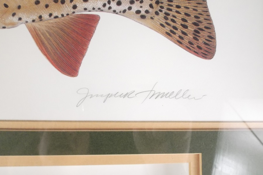 Signed Joseph R. Tomelleri Print of Yellowstone Cutthroat Trout