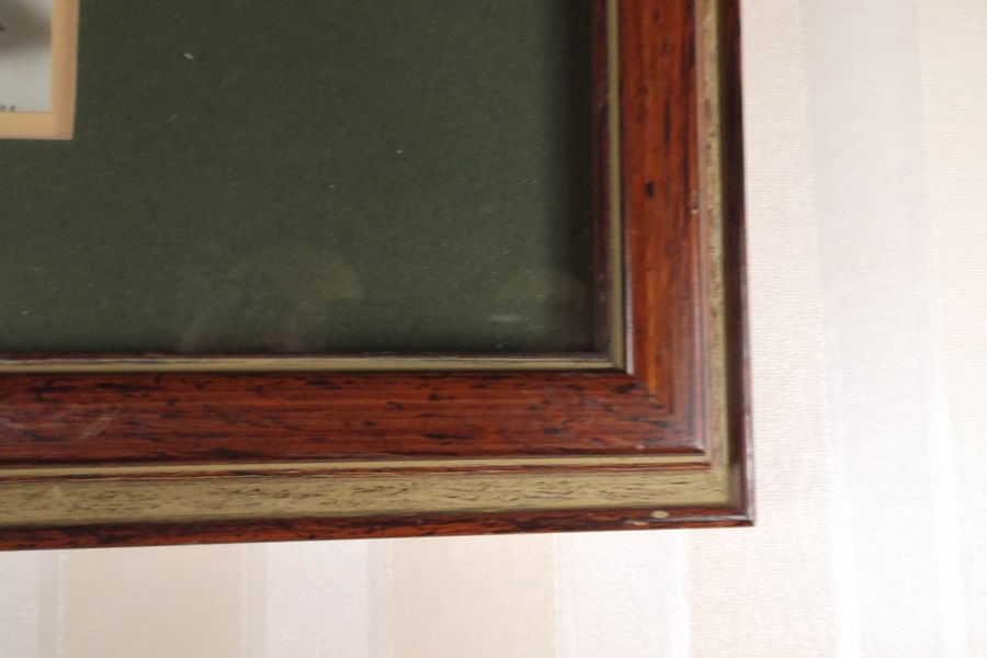 Signed Joseph R. Tomelleri Print of Yellowstone Cutthroat Trout