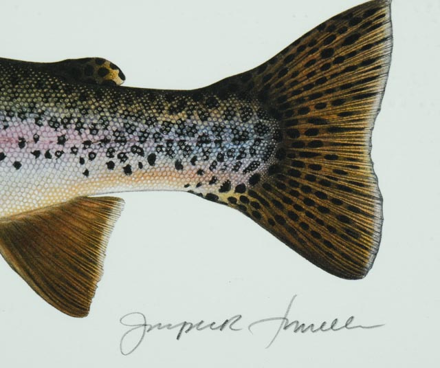 Hand Signed Joseph Tomelleri "Rainbow Trout" Photo Offset Print