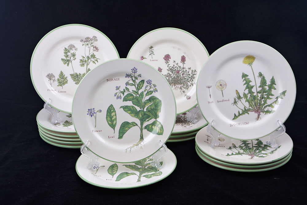 Williams-Sonoma Culinary Herb Plates