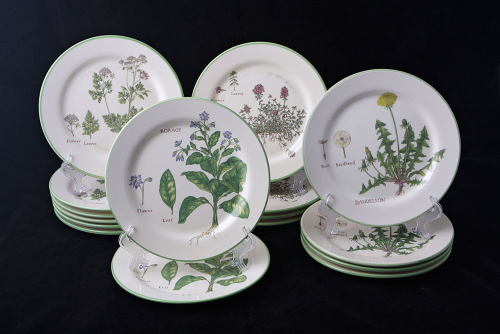 Williams-Sonoma Culinary Herb Plates