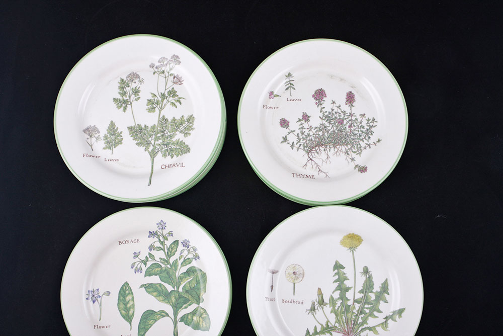 Williams-Sonoma Culinary Herb Plates