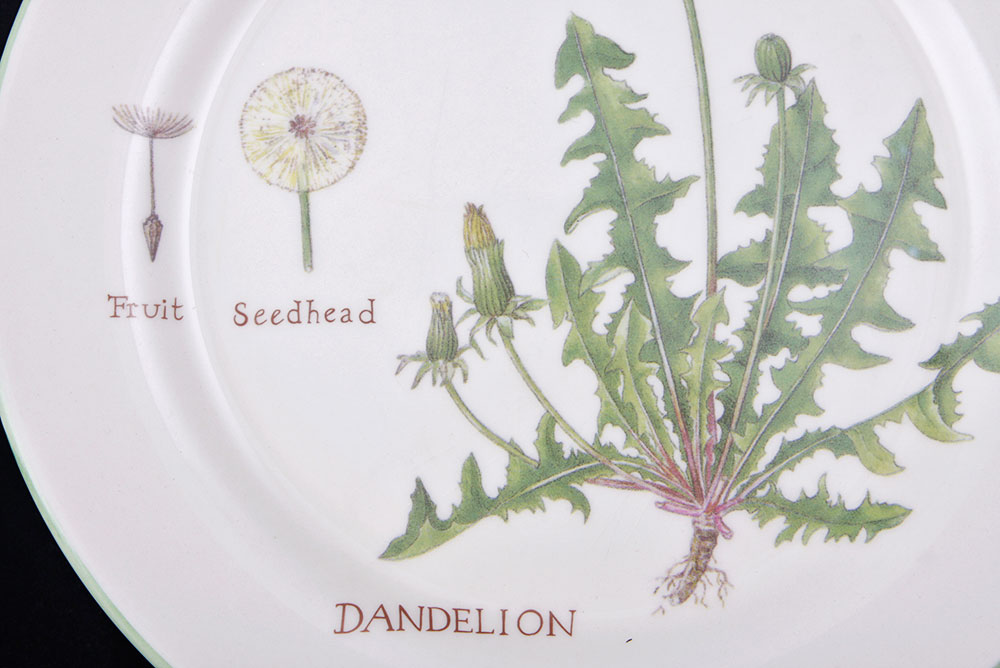 Williams-Sonoma Culinary Herb Plates