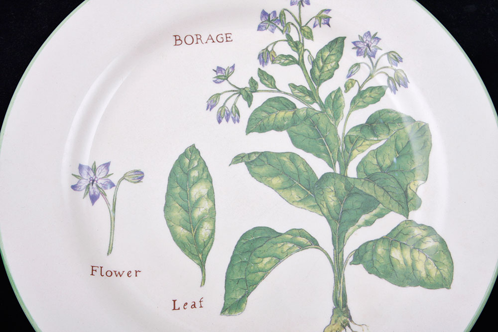 Williams-Sonoma Culinary Herb Plates