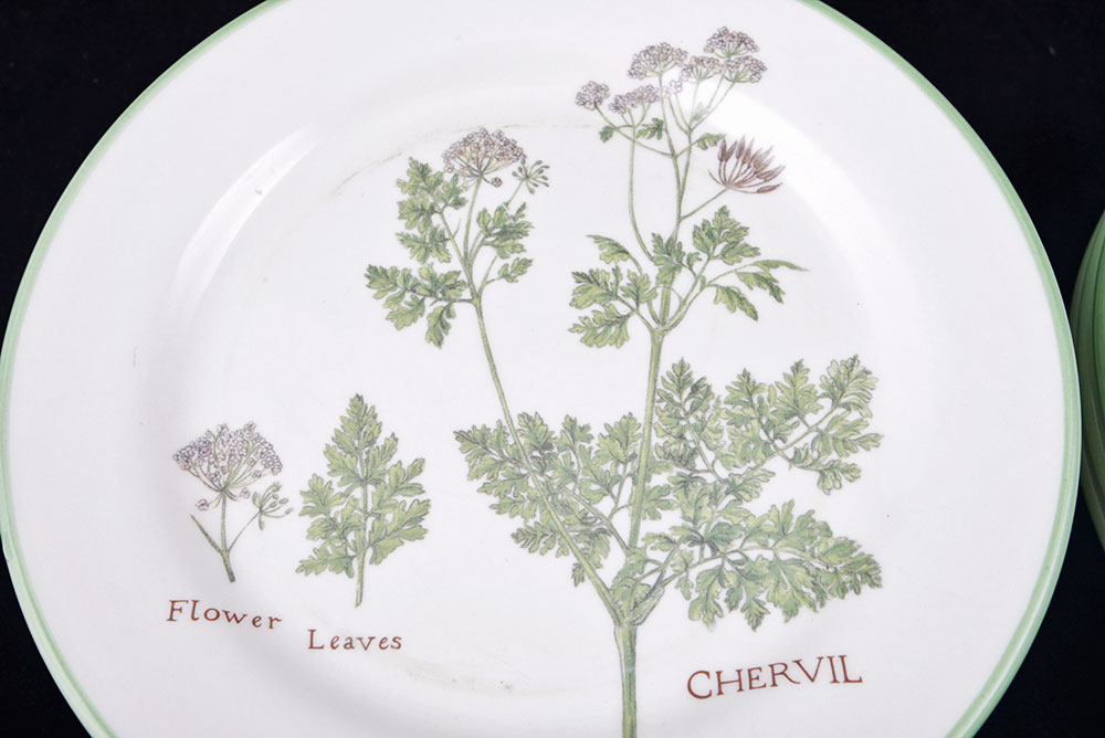 Williams-Sonoma Culinary Herb Plates