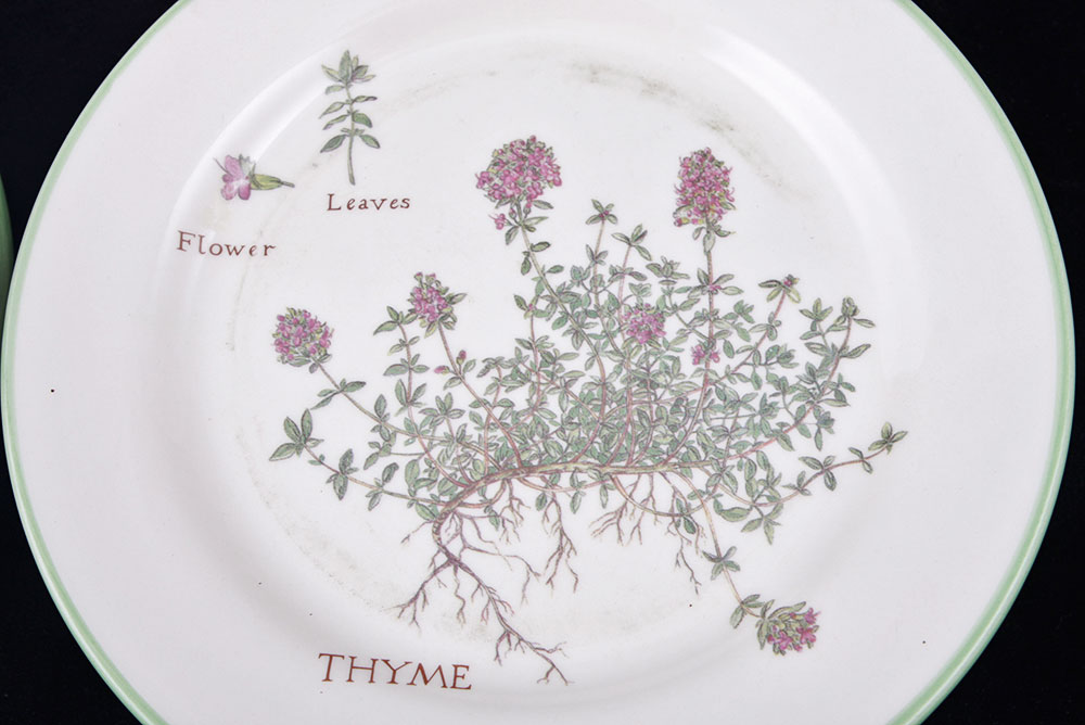 Williams-Sonoma Culinary Herb Plates