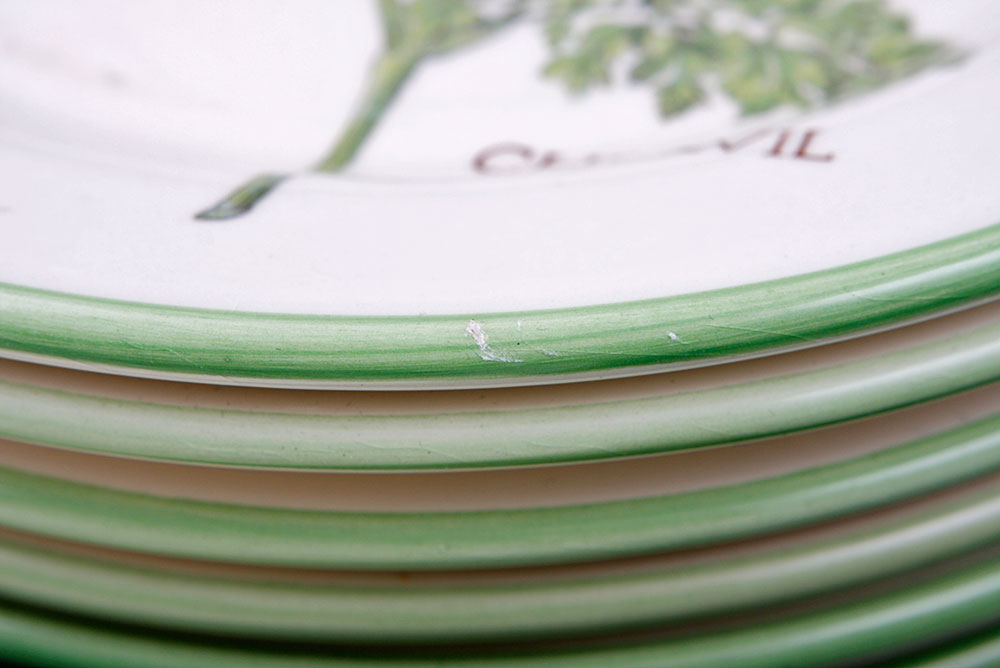 Williams-Sonoma Culinary Herb Plates