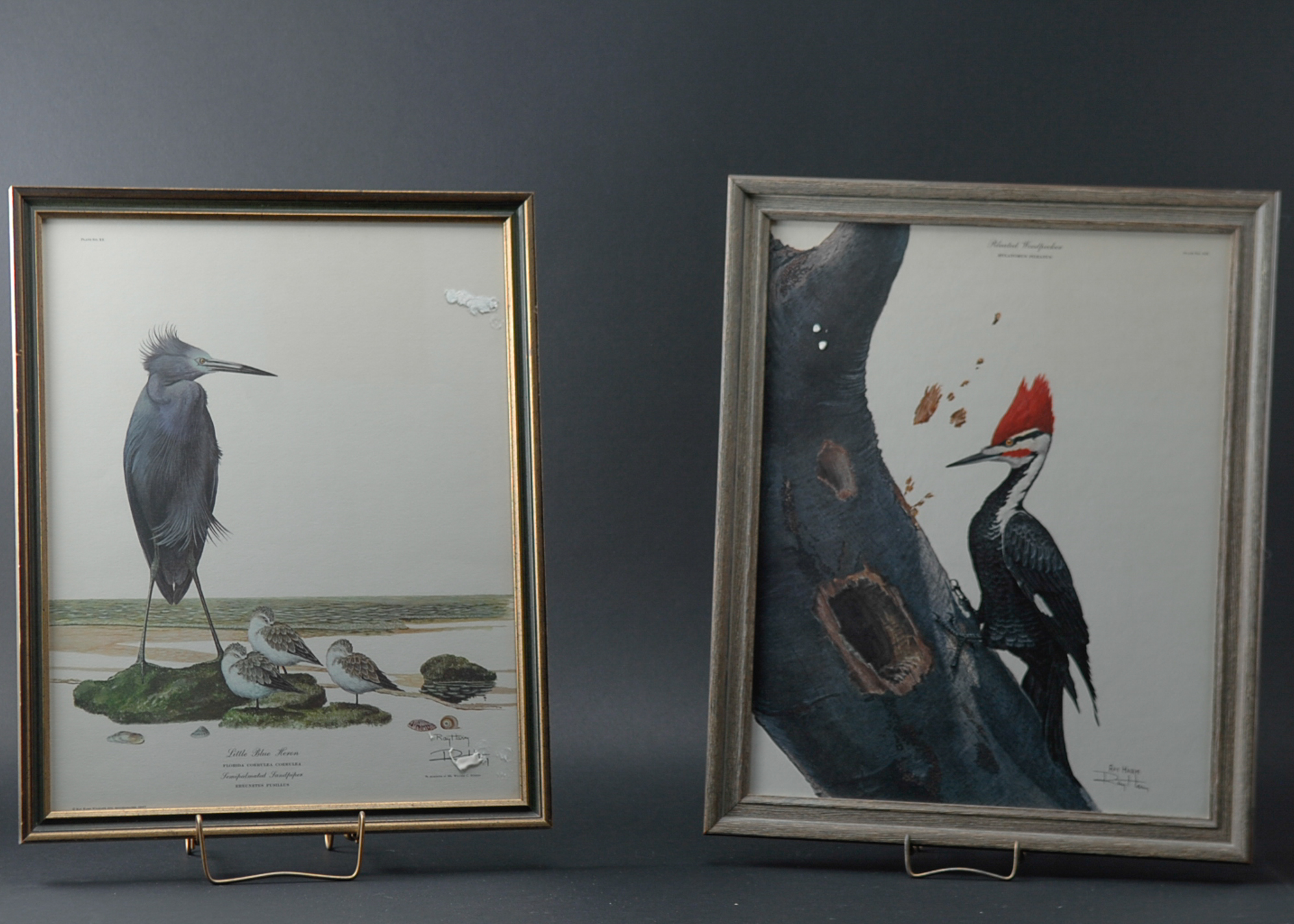 Pair of Signed Ray Harm Bird Prints