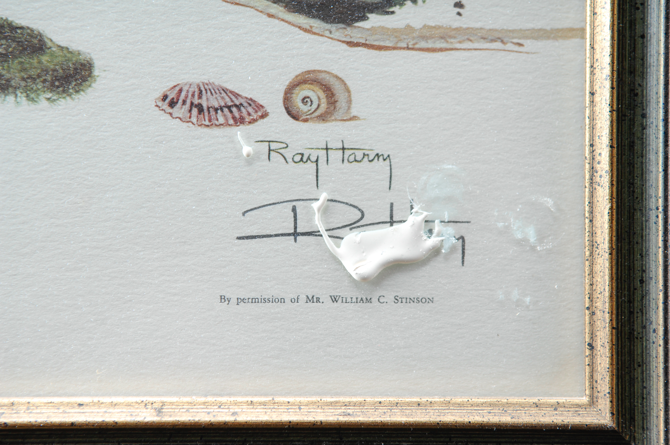 Pair of Signed Ray Harm Bird Prints