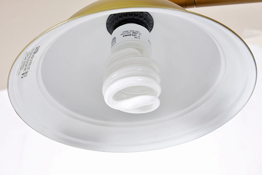 Adjustable Gold Tone Floor Lamp