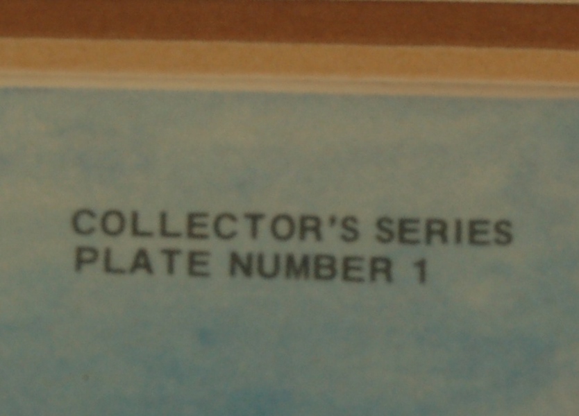 Roy Boone Signed Limited Edition Bald Eagle Lithograph