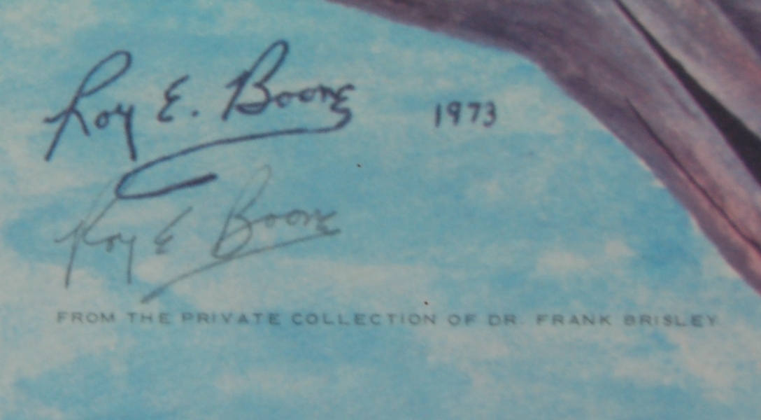 Roy Boone Signed Limited Edition Bald Eagle Lithograph