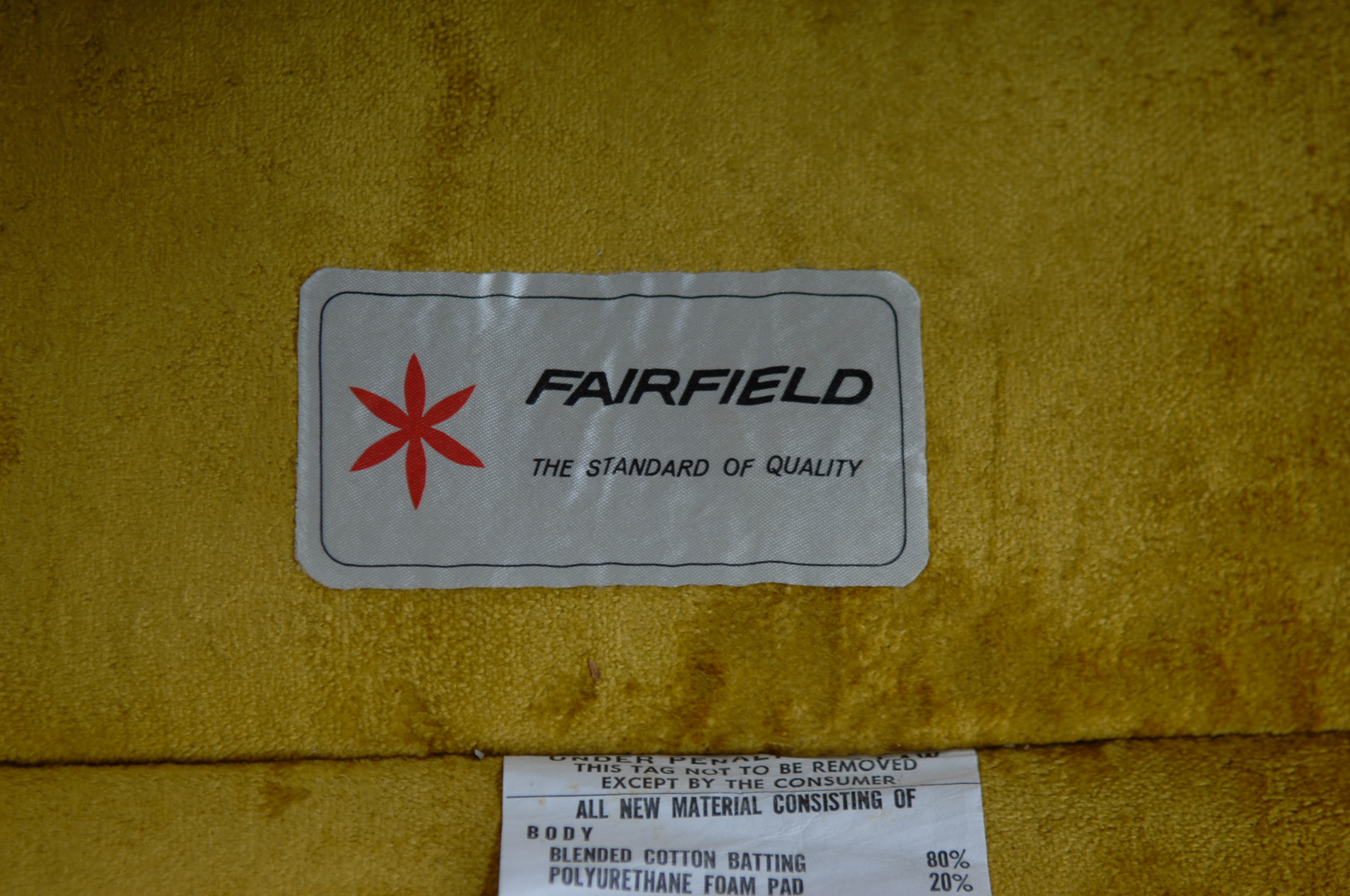 Gothic Style Gold Crushed Velvet Armchair