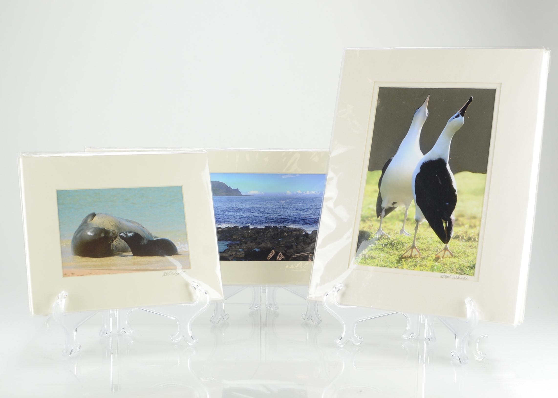 Matted Photos of Kauai by Bob Wright