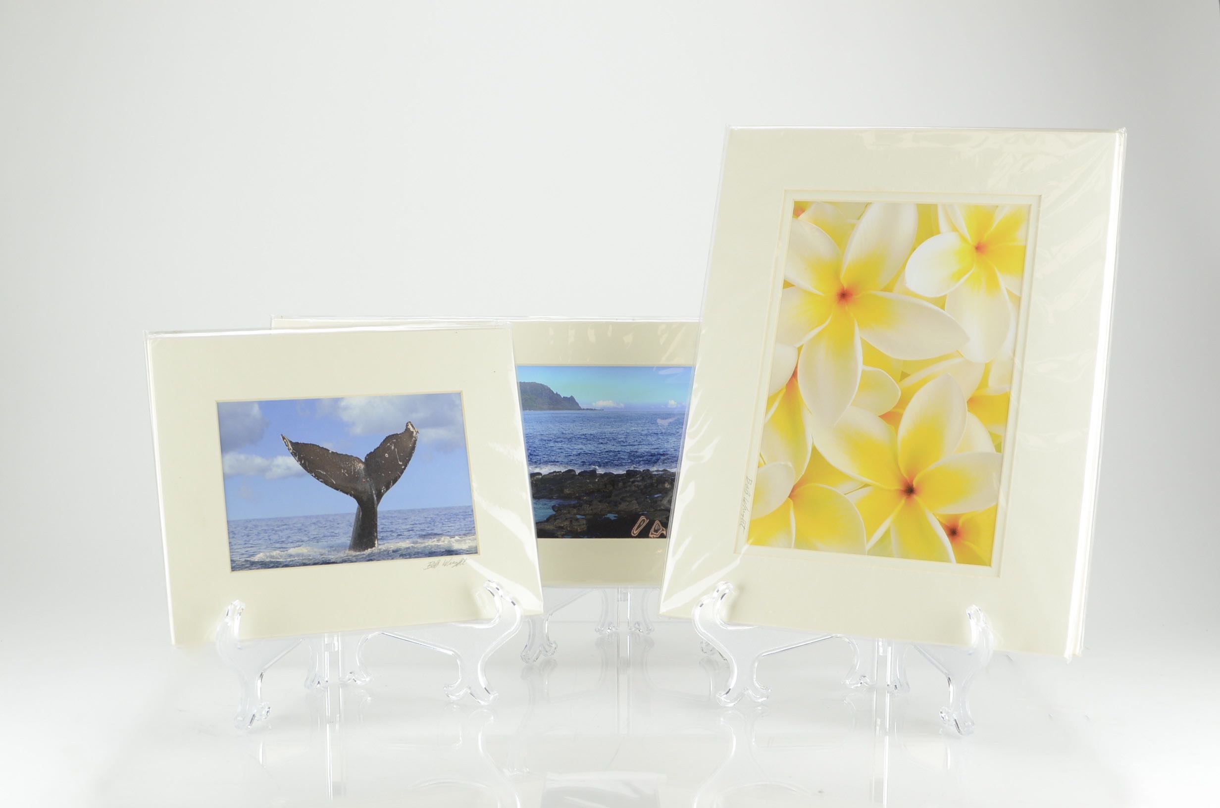 Matted Photos of Kauai by Bob Wright