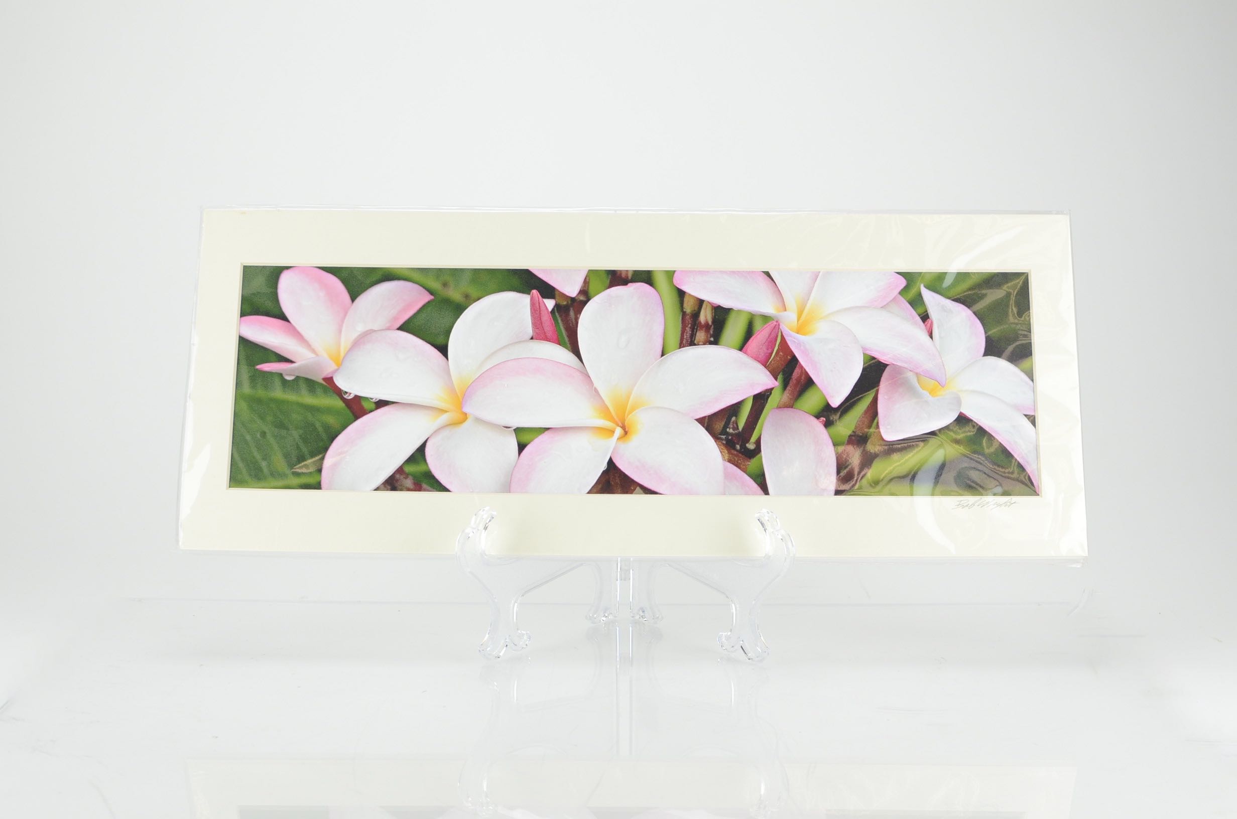 Matted Photos of Kauai by Bob Wright