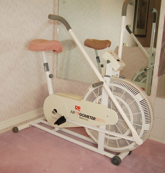 Dp airciser exercise bike manual hotsell