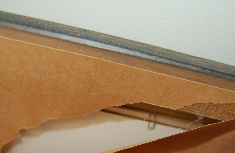 John Ruthven Signed L/E "Miami Indian" Lithograph