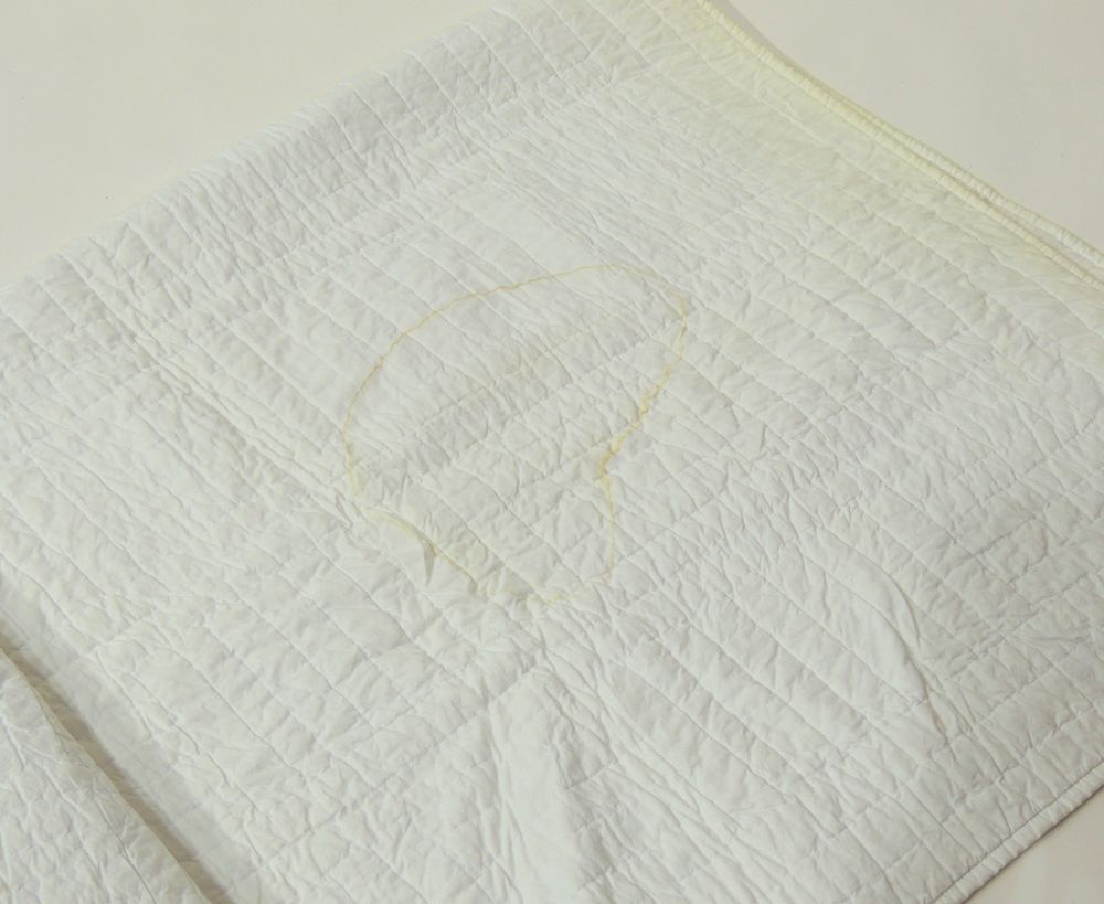 Blue and White Quilted Blanket