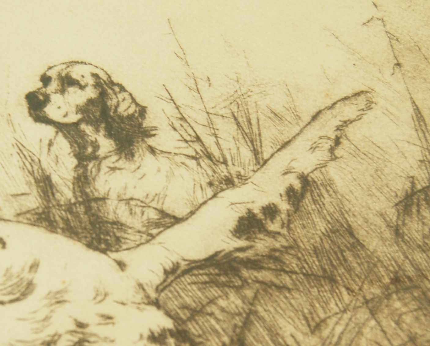 "Partners" Etching by Percival Rosseau