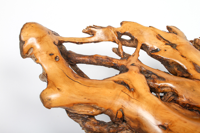 Artisan Carved Burl Wood Swan Statue