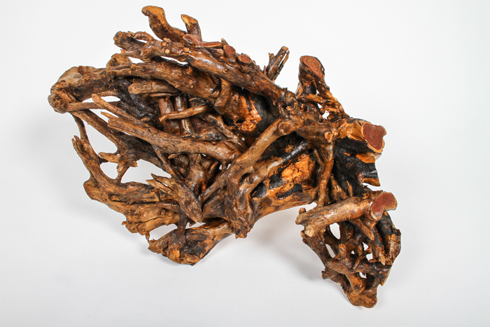 Artisan Carved Burl Wood Swan Statue