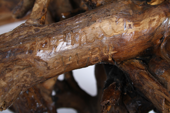 Artisan Carved Burl Wood Swan Statue