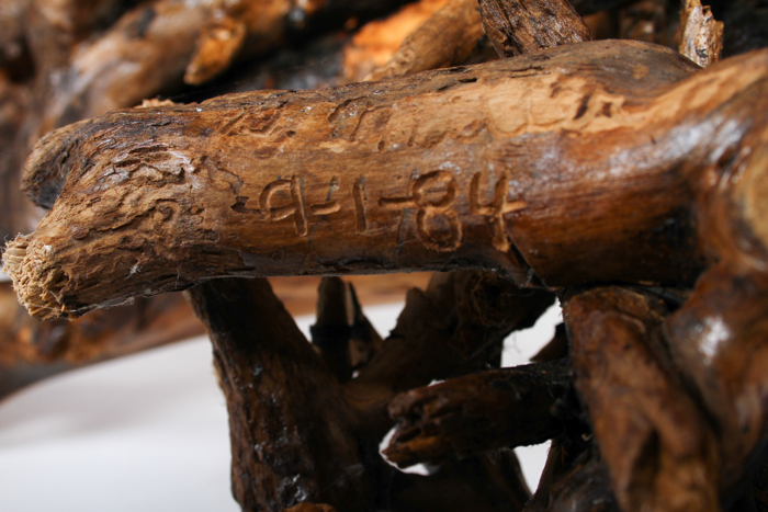 Artisan Carved Burl Wood Swan Statue