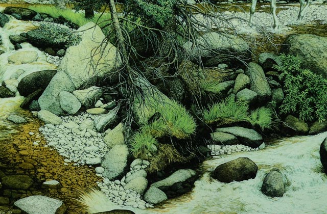 Bev Doolittle "The Forest Has Eyes" Lithograph and Arrow