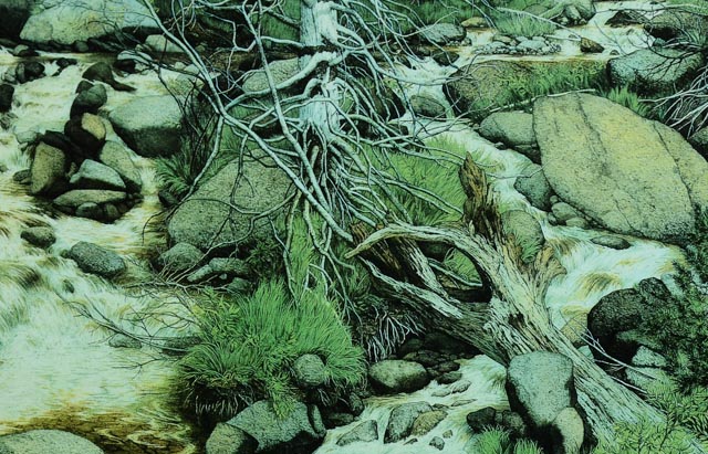 Bev Doolittle "The Forest Has Eyes" Lithograph and Arrow